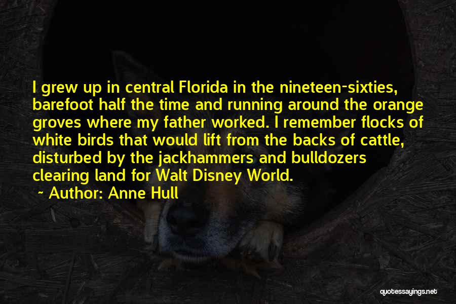 Land Clearing Quotes By Anne Hull