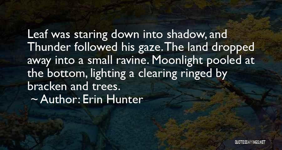 Land Clearing Quotes By Erin Hunter