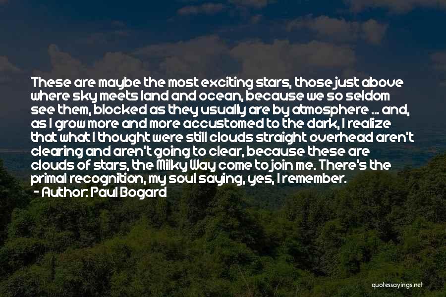 Land Clearing Quotes By Paul Bogard