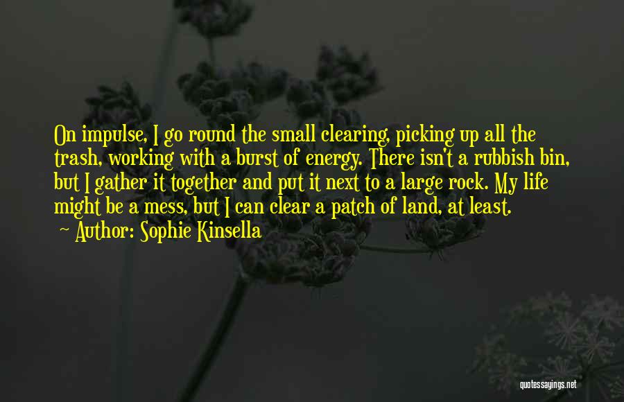 Land Clearing Quotes By Sophie Kinsella