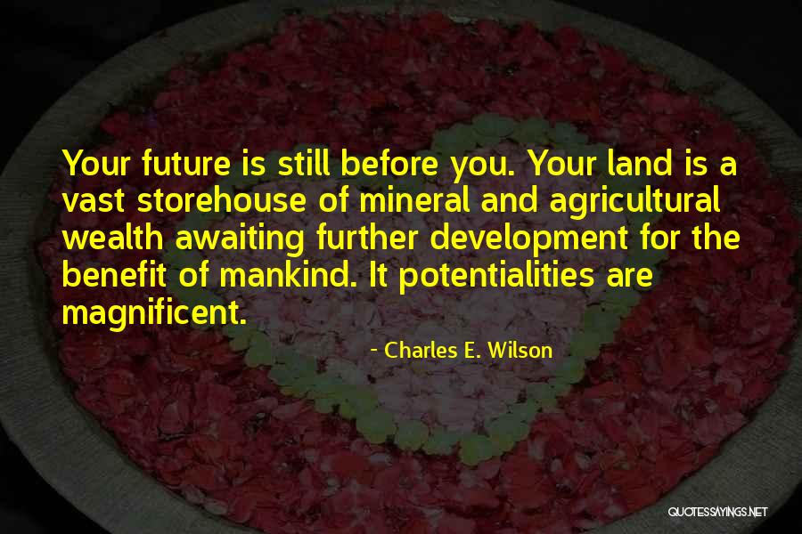 Land Development Quotes By Charles E. Wilson Land Development Quotes By Charles E. Wilson