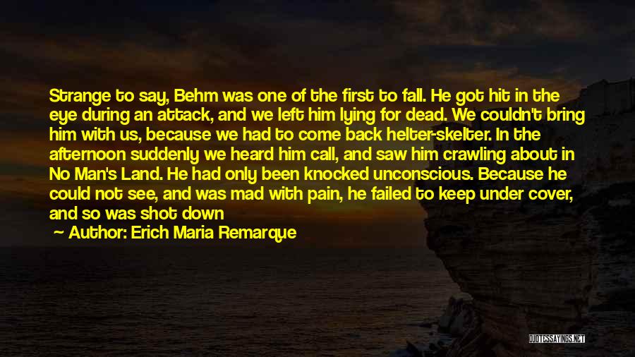 Land Down Under Quotes By Erich Maria Remarque