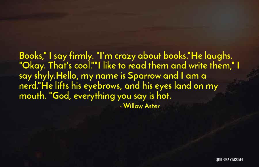 Land Of Laughs Quotes By Willow Aster