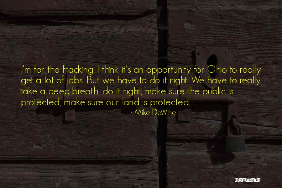 Land Of Opportunity Quotes By Mike DeWine Land Of Opportunity Quotes By Mike DeWine