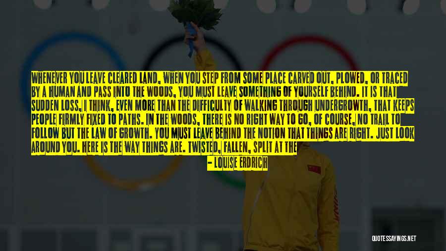 Land Of The Fallen Quotes By Louise Erdrich Land Of The Fallen Quotes By Louise Erdrich