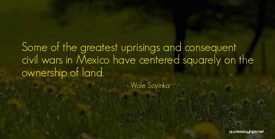 Land Ownership Quotes By Wole Soyinka