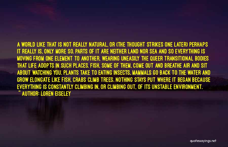 Land Sea And Air Quotes By Loren Eiseley