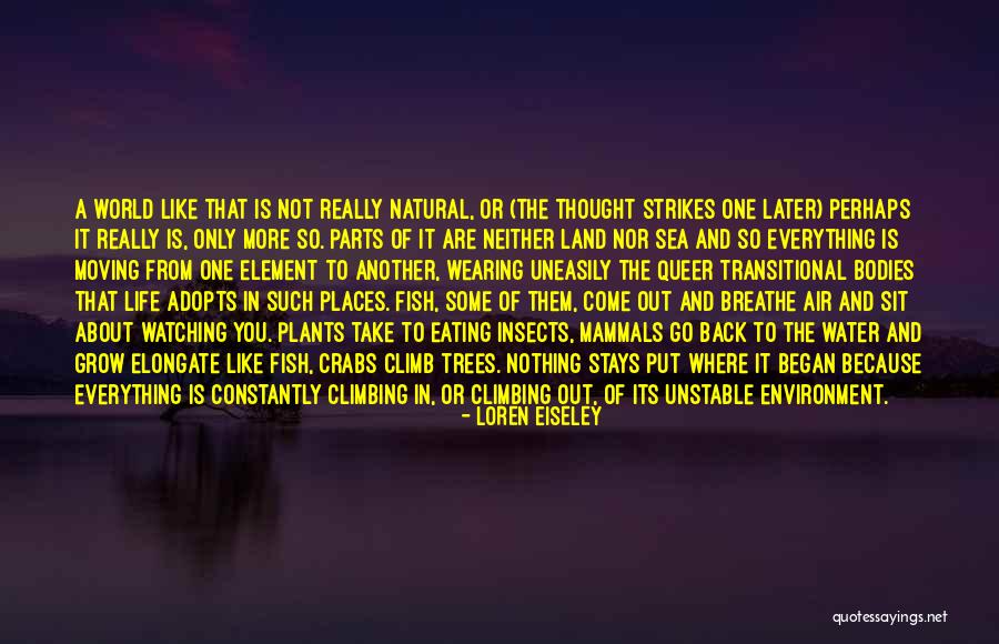 Land Sea And Air Quotes By Loren Eiseley Land Sea And Air Quotes By Loren Eiseley