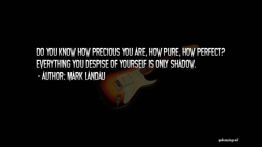 Landau Quotes By Mark Landau