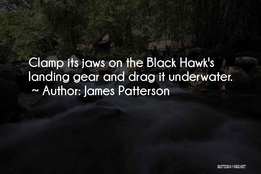 Landing Gear Quotes By James Patterson