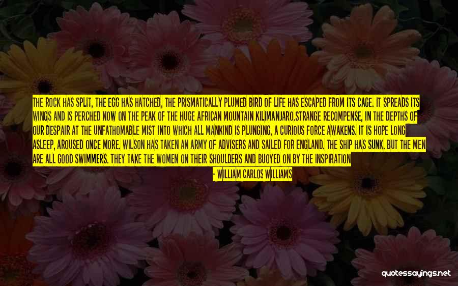 Landing On Your Feet Quotes By William Carlos Williams Landing On Your Feet Quotes By William Carlos Williams