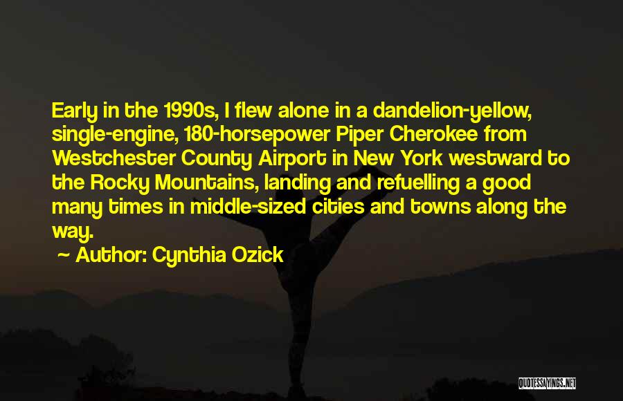 Landing Quotes By Cynthia Ozick