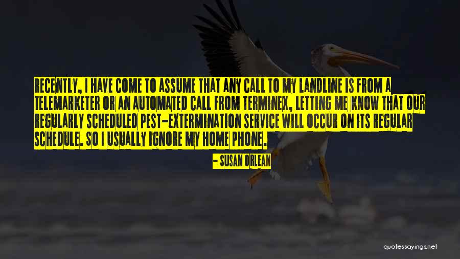 Landline Quotes By Susan Orlean