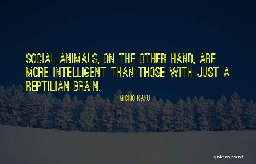 Landlubbers Menu Quotes By Michio Kaku Landlubbers Menu Quotes By Michio Kaku