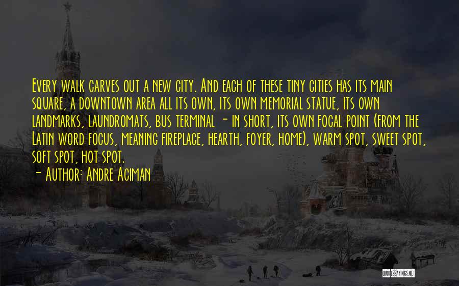 Landmarks Quotes By Andre Aciman