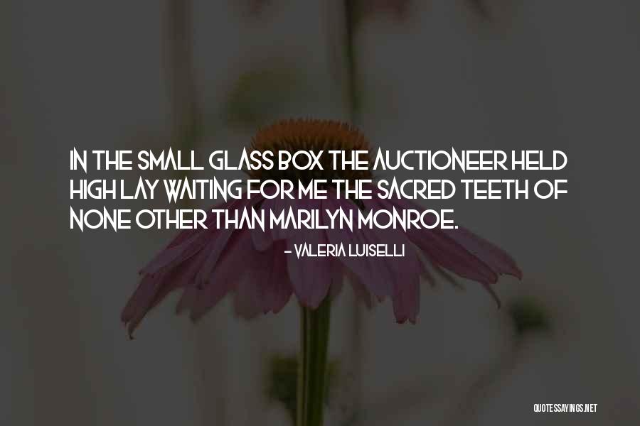 Landmass Quotes By Valeria Luiselli Landmass Quotes By Valeria Luiselli