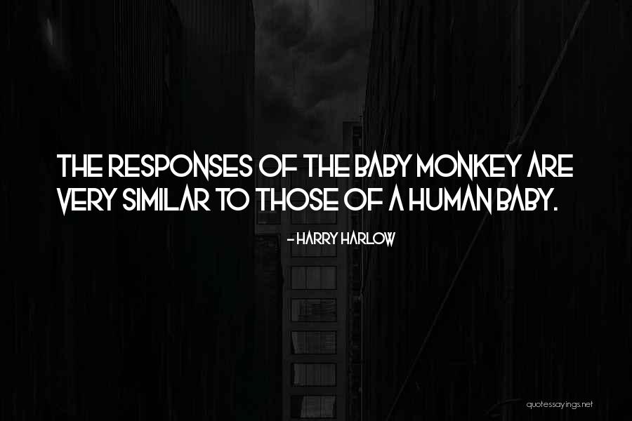 Landmeter Peeters Quotes By Harry Harlow Landmeter Peeters Quotes By Harry Harlow