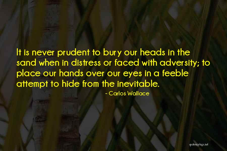 Landolt Pavilion Quotes By Carlos Wallace Landolt Pavilion Quotes By Carlos Wallace