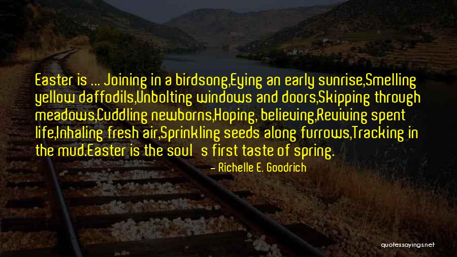 Landolt Pavilion Quotes By Richelle E. Goodrich Landolt Pavilion Quotes By Richelle E. Goodrich