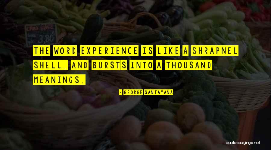 Landonite Quotes By George Santayana Landonite Quotes By George Santayana