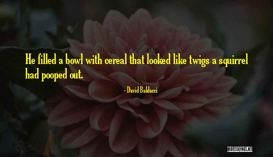 Landorus Serebii Quotes By David Baldacci Landorus Serebii Quotes By David Baldacci
