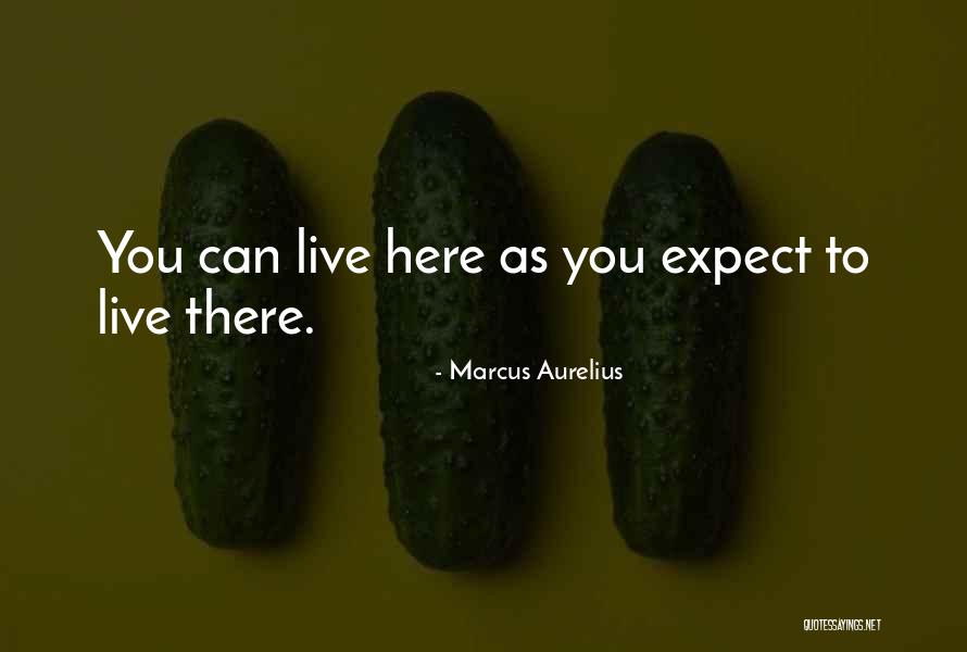 Landowning Blacks Quotes By Marcus Aurelius Landowning Blacks Quotes By Marcus Aurelius
