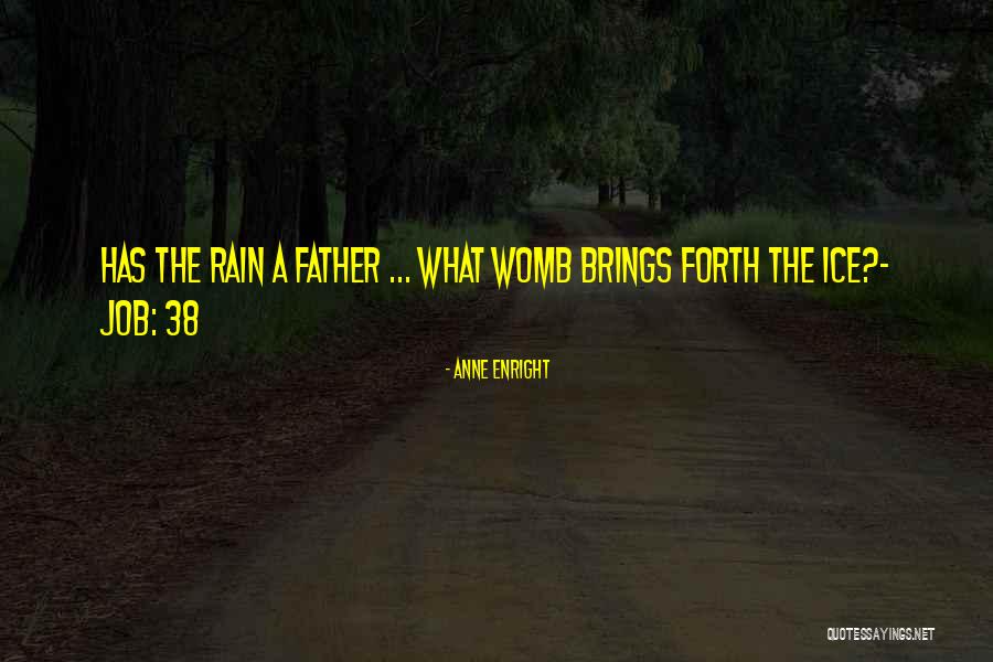 Landress Salvage Quotes By Anne Enright Landress Salvage Quotes By Anne Enright