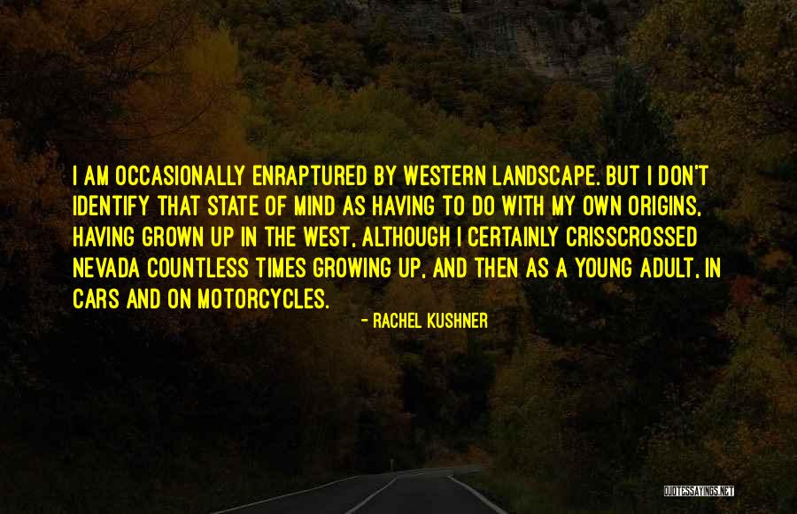 Landscape Of Mind Quotes By Rachel Kushner Landscape Of Mind Quotes By Rachel Kushner