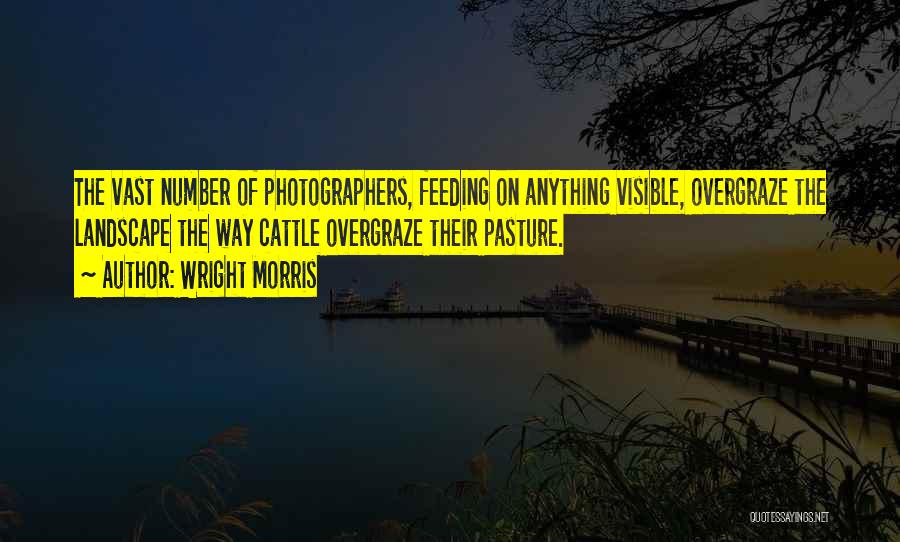 Landscape Photographers Quotes By Wright Morris