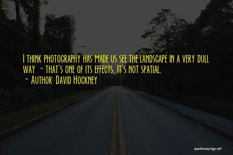 Landscape Photography Quotes By David Hockney