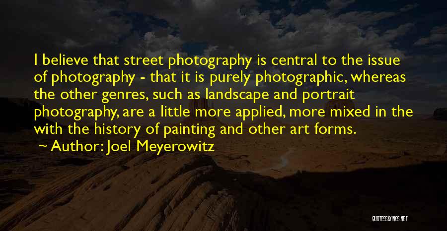 Landscape Photography Quotes By Joel Meyerowitz