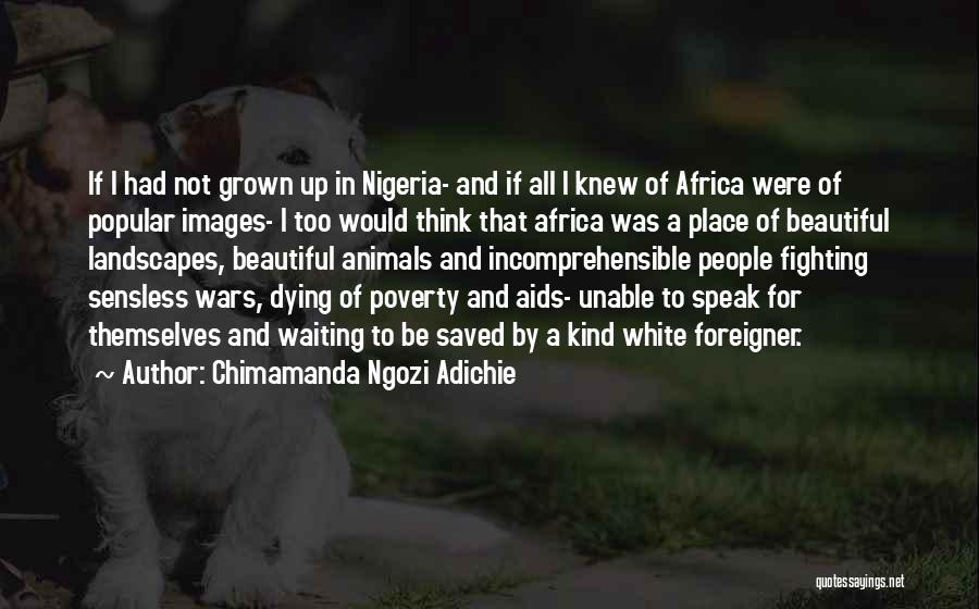 Landscapes Images With Quotes By Chimamanda Ngozi Adichie