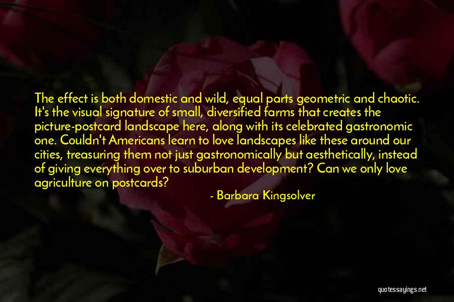 Landscapes Quotes By Barbara Kingsolver