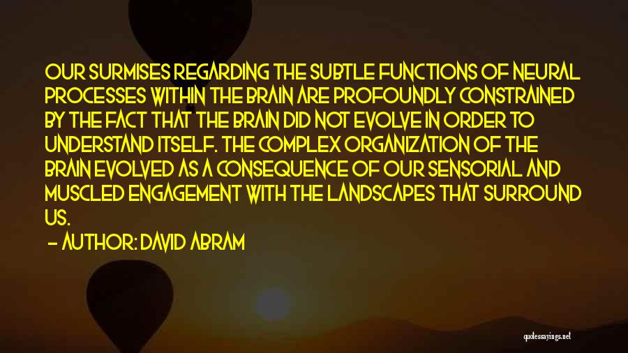 Landscapes Quotes By David Abram