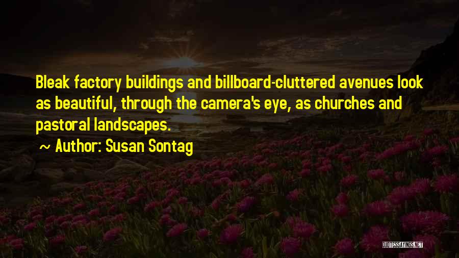 Landscapes Quotes By Susan Sontag