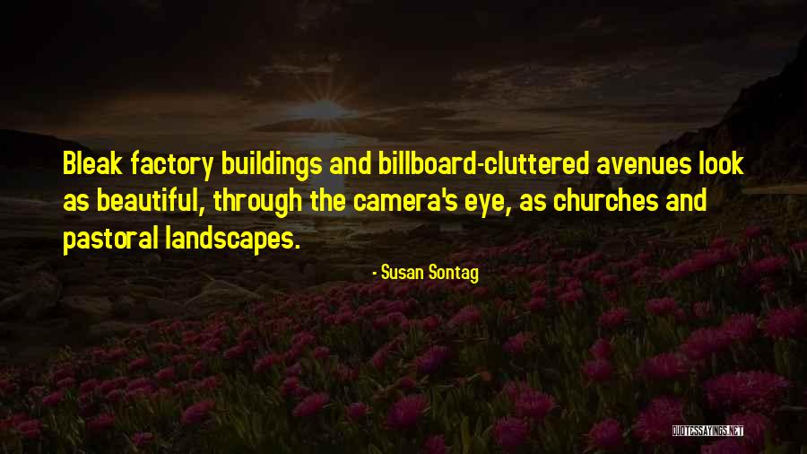 Landscapes Quotes By Susan Sontag