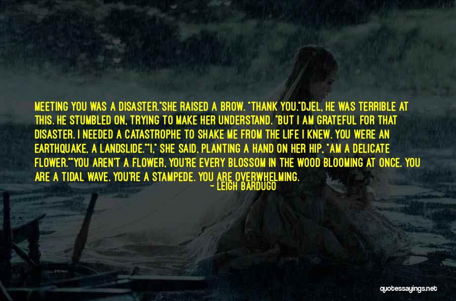 Landslide Disaster Quotes By Leigh Bardugo