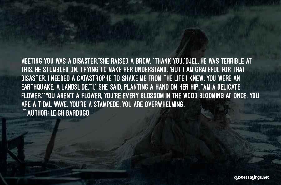 Landslide Quotes By Leigh Bardugo