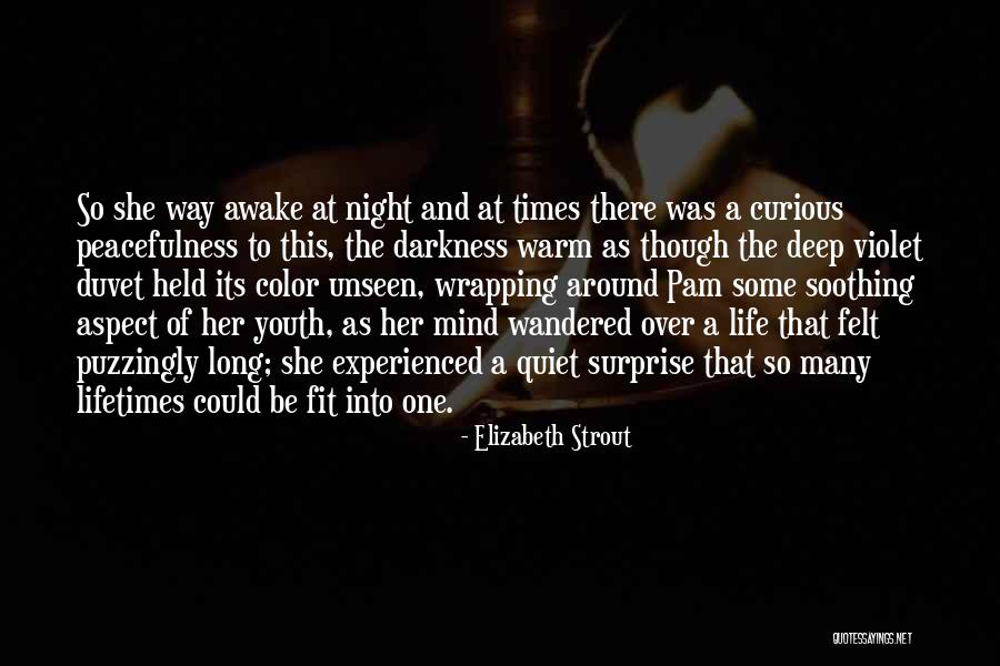 Landsverk Dosimeter Quotes By Elizabeth Strout Landsverk Dosimeter Quotes By Elizabeth Strout