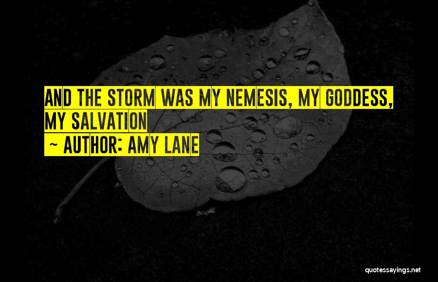 Lane Quotes By Amy Lane