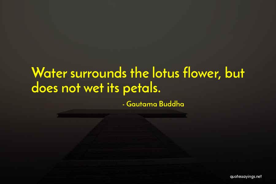 Lanera Quotes By Gautama Buddha