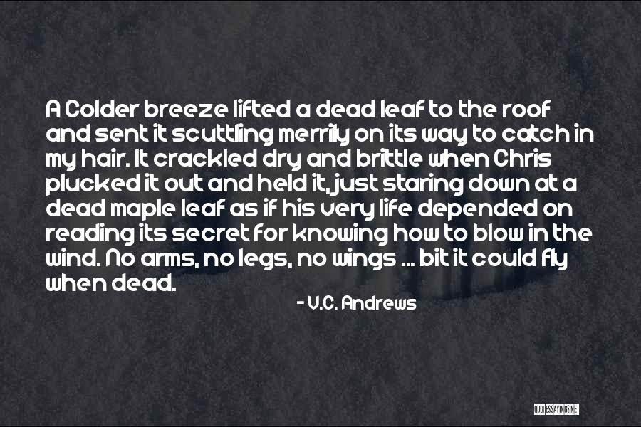 Lanera Quotes By V.C. Andrews Lanera Quotes By V.C. Andrews