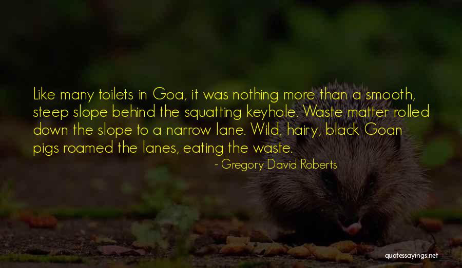 Lanes Quotes By Gregory David Roberts