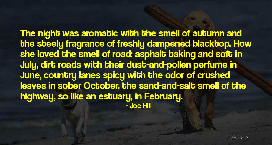 Lanes Quotes By Joe Hill