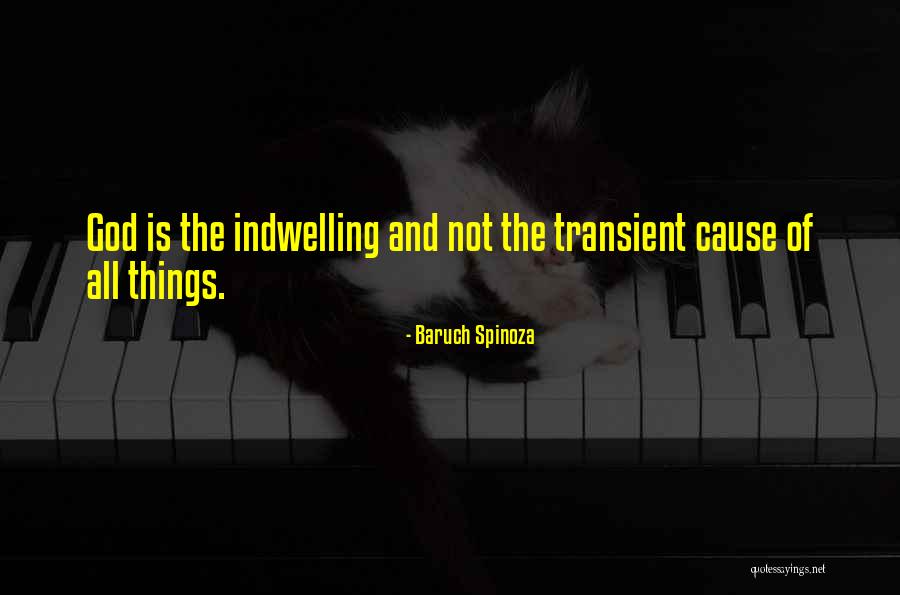 Laneuville Eric Quotes By Baruch Spinoza