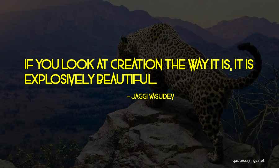 Langemeier Quotes By Jaggi Vasudev Langemeier Quotes By Jaggi Vasudev