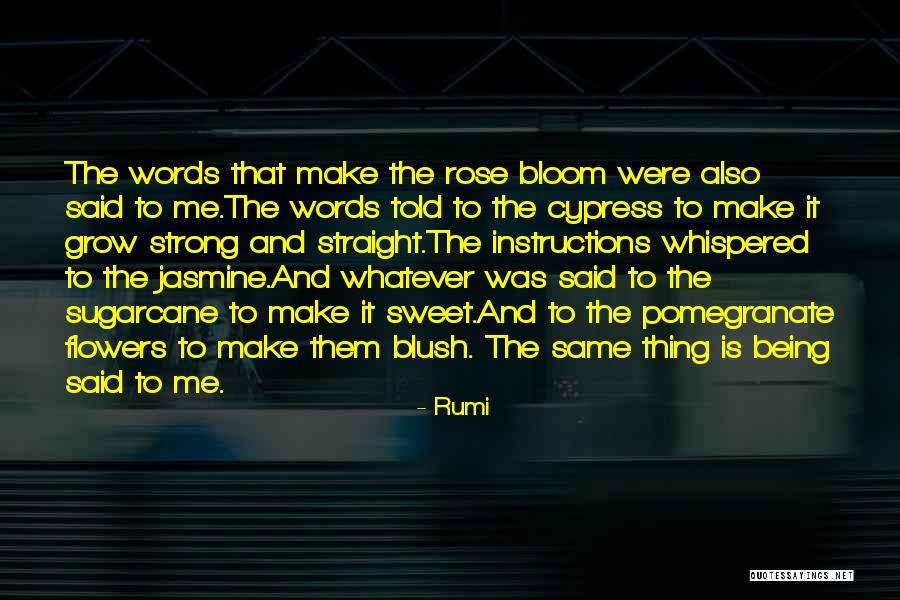 Langenecker Construction Quotes By Rumi Langenecker Construction Quotes By Rumi