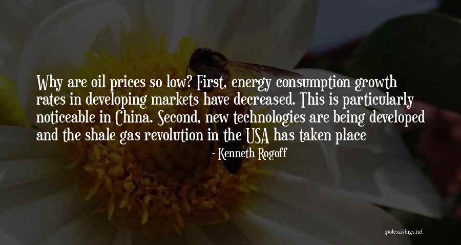 Langkilde Family Tree Quotes By Kenneth Rogoff Langkilde Family Tree Quotes By Kenneth Rogoff