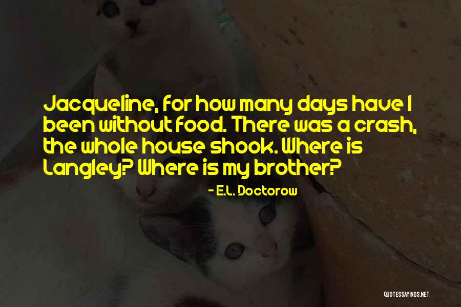 Langley Quotes By E.L. Doctorow Langley Quotes By E.L. Doctorow
