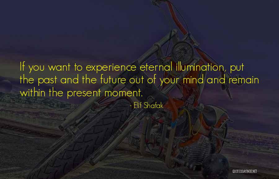 Langsat Seeds Quotes By Elif Shafak Langsat Seeds Quotes By Elif Shafak
